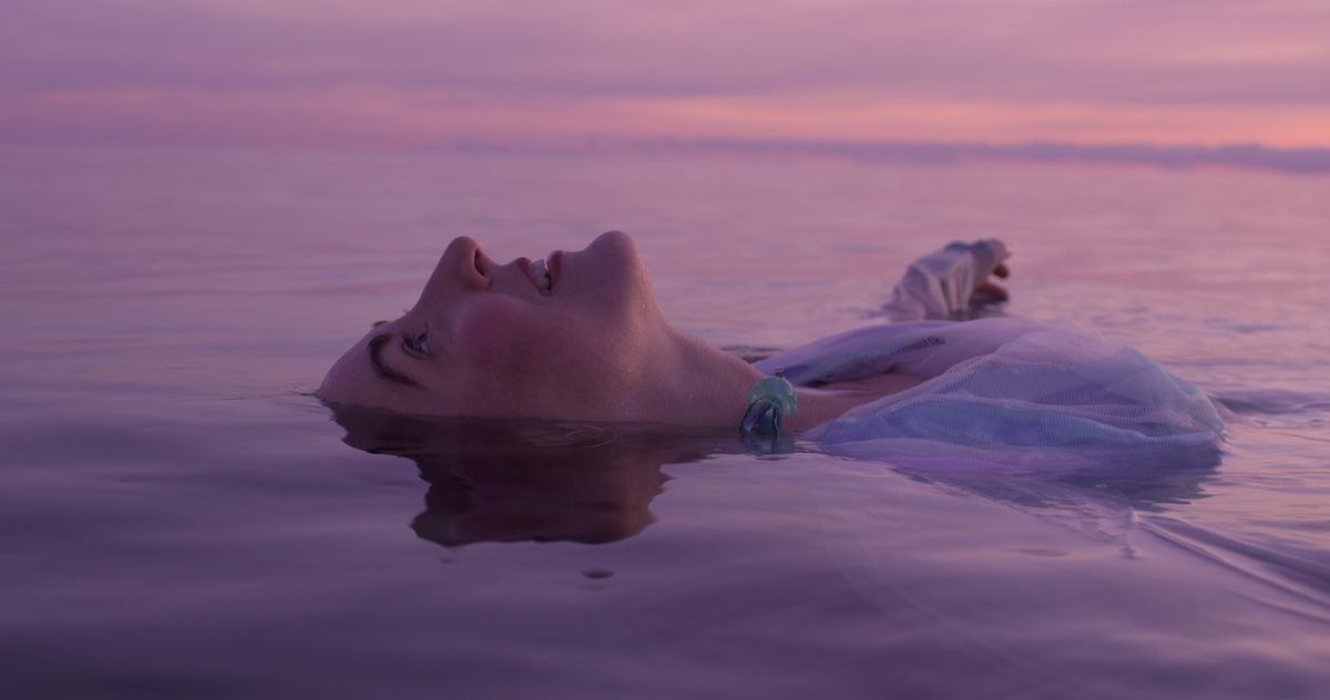 Jellyfish. Photo: Mikkel Brekne Munkvold